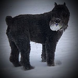 Major price slashes !